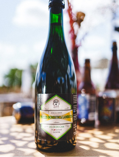 Malus Domestica Lambicus